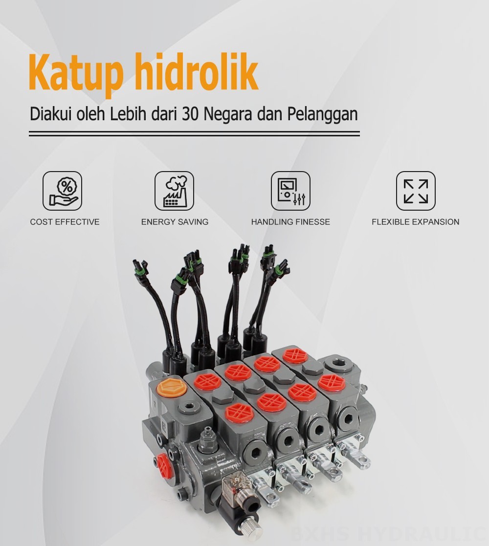 Katup Pembongkaran Listrik HSDLS180 Buku Panduan 4 Spul Kran Arah Bagian